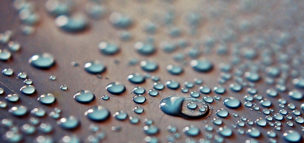 Water